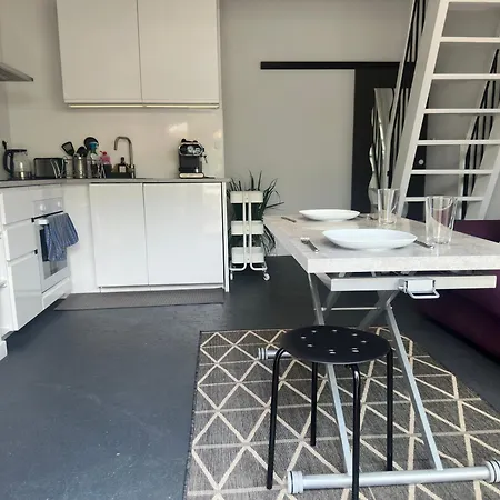 L'ecrin Du Zenith - Mezzanine & Parking 'la Cartoucherie' 3* トゥールーズ